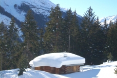 2015-01-12-winterwanderung-almfrieden13