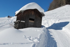 2015-01-12-winterwanderung-almfrieden16